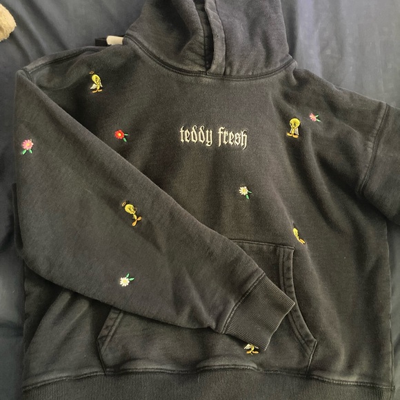 Teddy Fresh x Looney Tunes Collection Hoodie - Picture 3 of 5